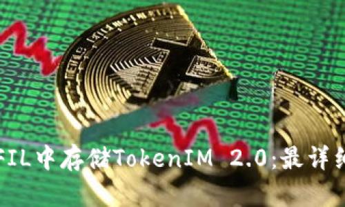 如何在FIL中存储TokenIM 2.0：最详细的指南
