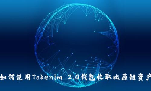 如何使用Tokenim 2.0钱包收取比原链资产