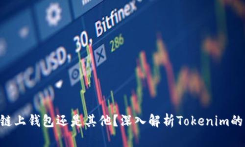Tokenim是链上钱包还是其他？深入解析Tokenim的功能与特性