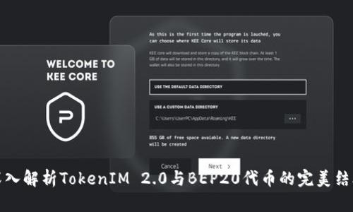 深入解析TokenIM 2.0与BEP20代币的完美结合