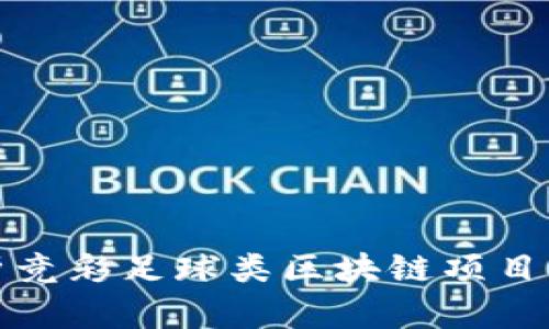 全面解析竞彩足球类区块链项目及其前景