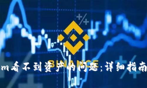 如何解决Tokenim看不到资产的问题：详细指南与常见问题解答