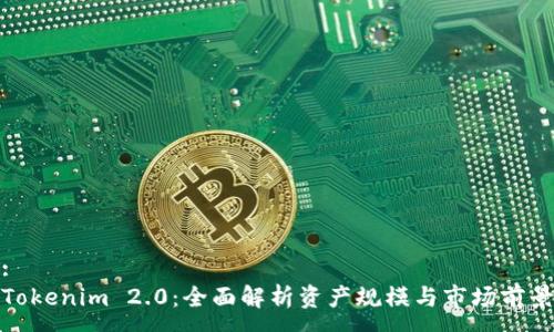 :
Tokenim 2.0：全面解析资产规模与市场前景