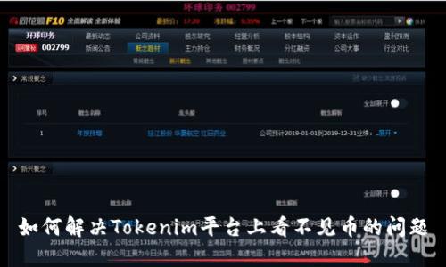 如何解决Tokenim平台上看不见币的问题