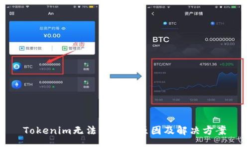 Tokenim无法更新的原因及解决方案