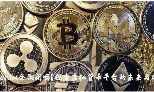 Tokenim会倒闭吗？探索虚拟货币平台的未来与风险