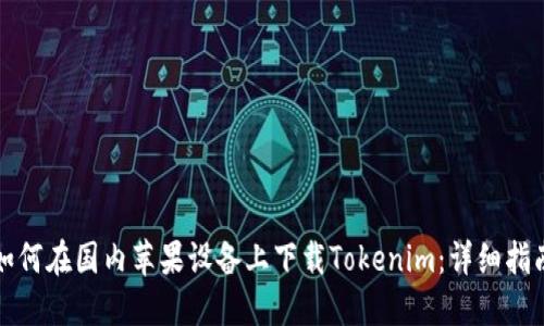 如何在国内苹果设备上下载Tokenim：详细指南
