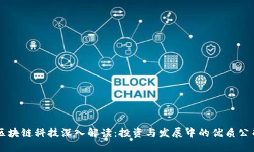 区块链科技深入解读：投资与发展中的优质公司