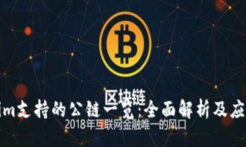 Tokenim支持的公链一览：全面解析及应用场景
