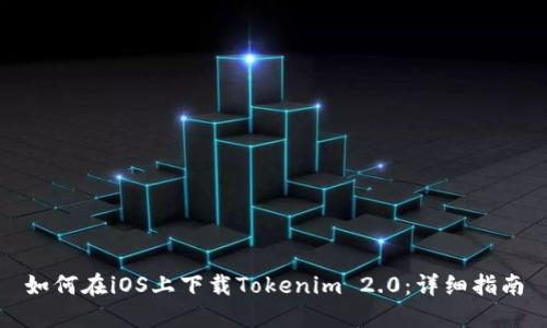如何在iOS上下载Tokenim 2.0：详细指南