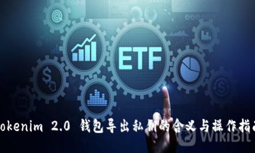Tokenim 2.0 钱包导出私钥的含义与操作指南